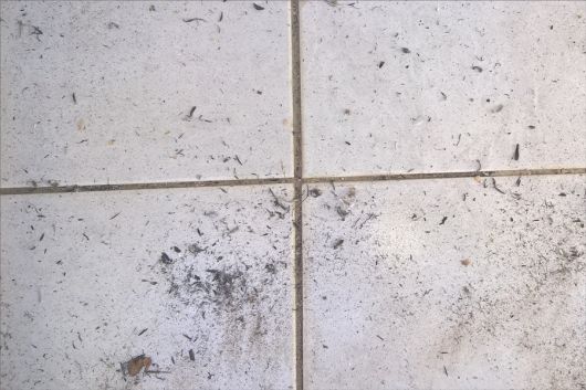 Fuligens de queimadas nas proximidades de Eunápolis estão infernizando a vida da população, donas de casa reclamam 5