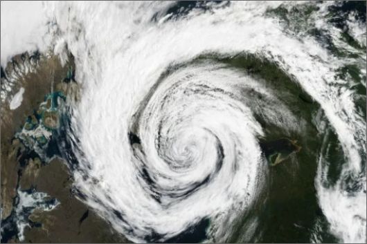 Foto: canalrural.com.br