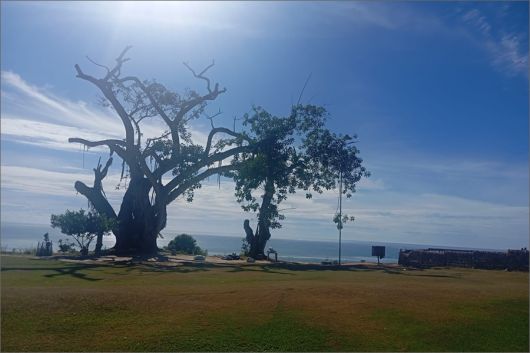 Foto: A Gazeta Bahia