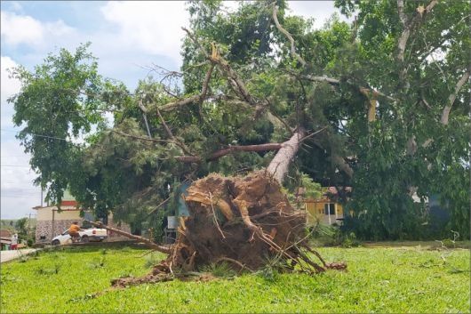 Foto: A Gazeta Bahia