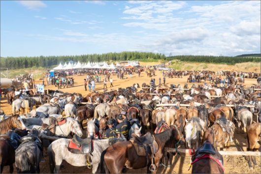 Foto: Ascom/ Prefeitura de Itagimirim