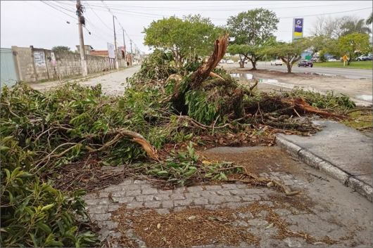 Foto: A Gazeta Bahia